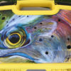 Close eye rainbow trout Fly Box