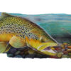 Fleming Brown Trout in Water with river rock bed Sharpie Artwork