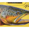 Brown Trout Fly Box