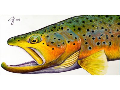 Brown Trout Sharpie Artwork