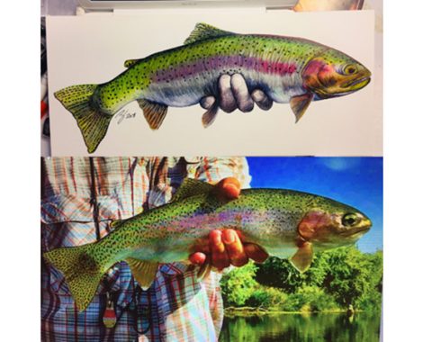 Trout Fish Illustration Fly Fishing Art Can Cooler